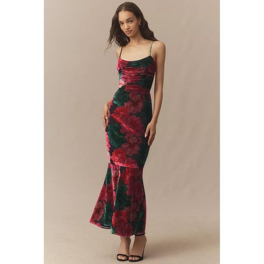 NWT Hutch Tyliaโ Ruched Floral Velvet Maxi Dress Size 2 Anthropologie